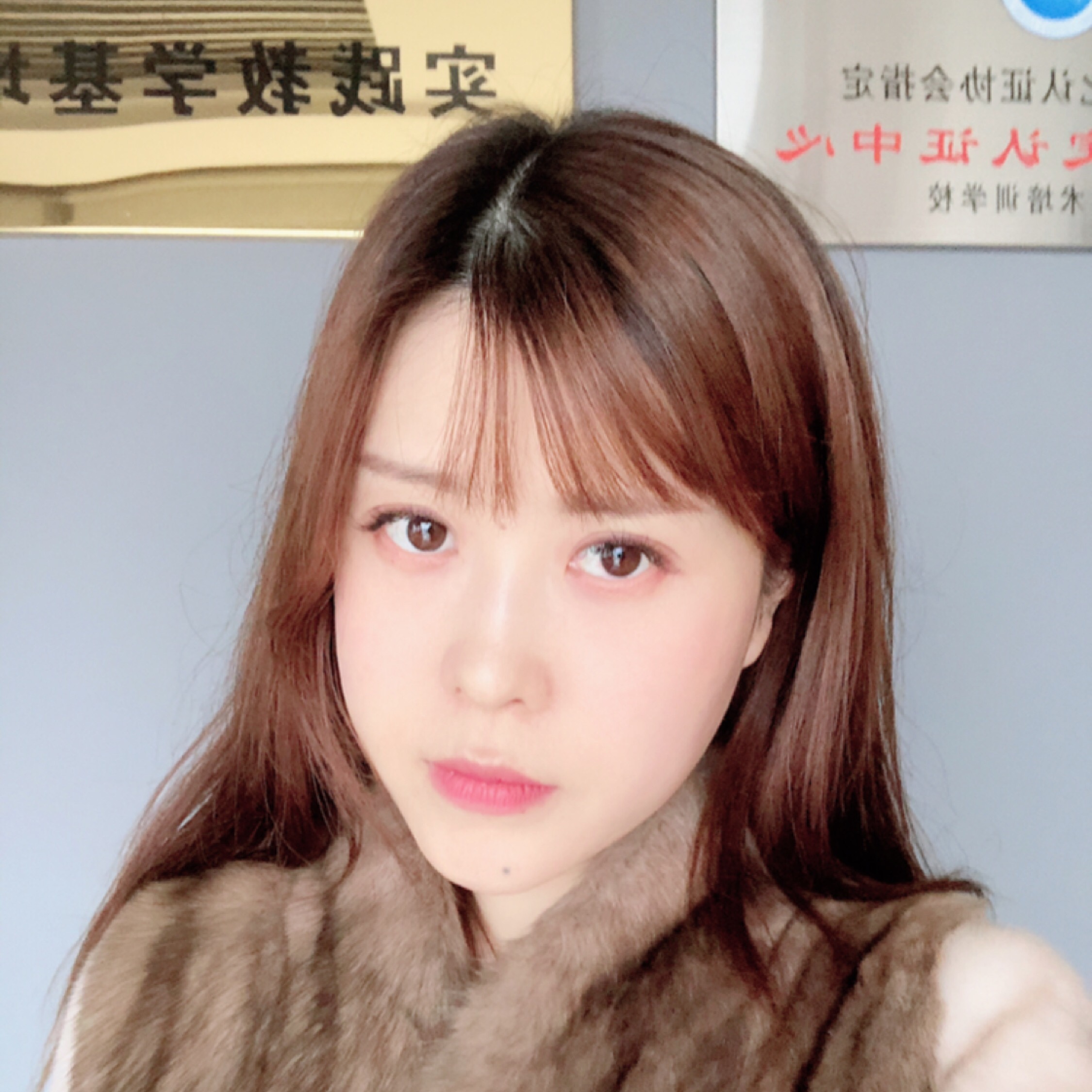 迷失方向的貓咪