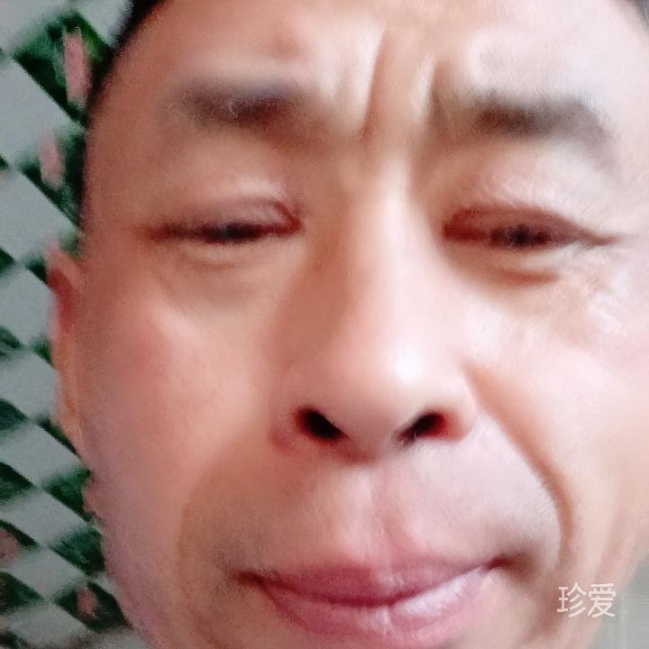 一个欢快的小白鼠