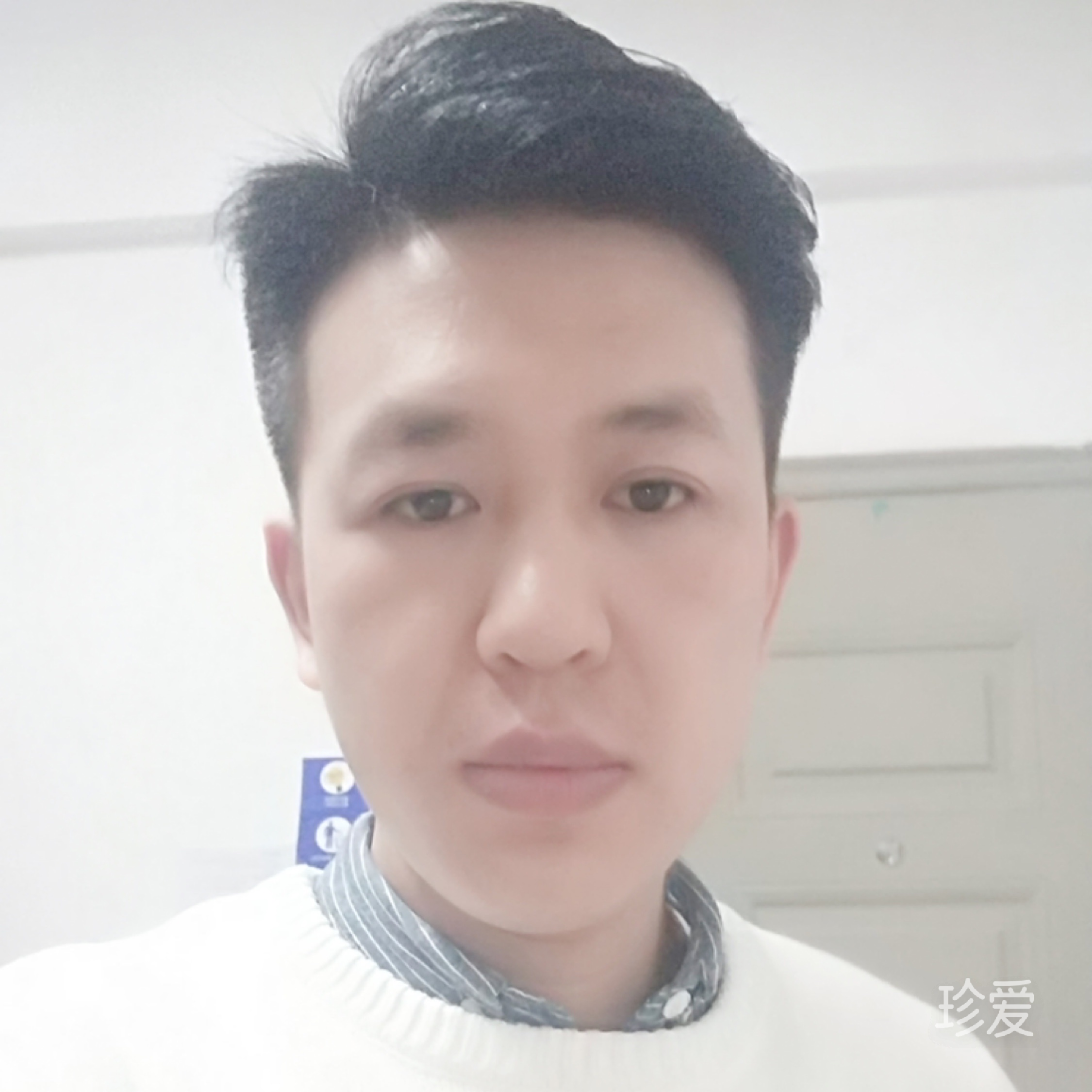 如果熊貓會(huì)說(shuō)話(huà)