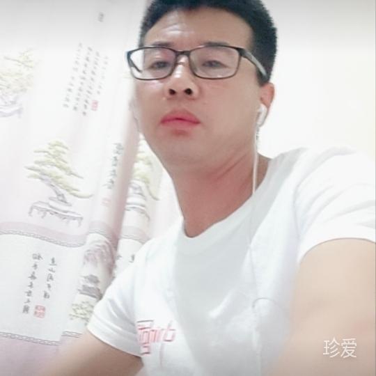 猪不笨