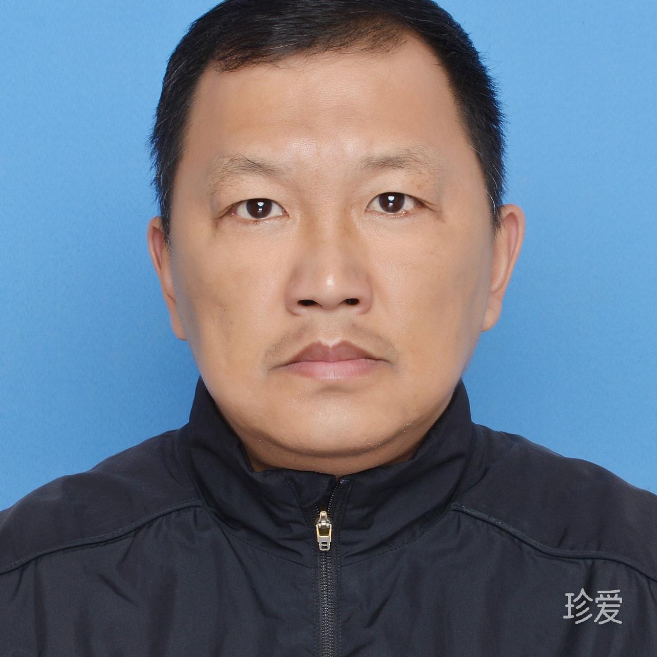 随心而动