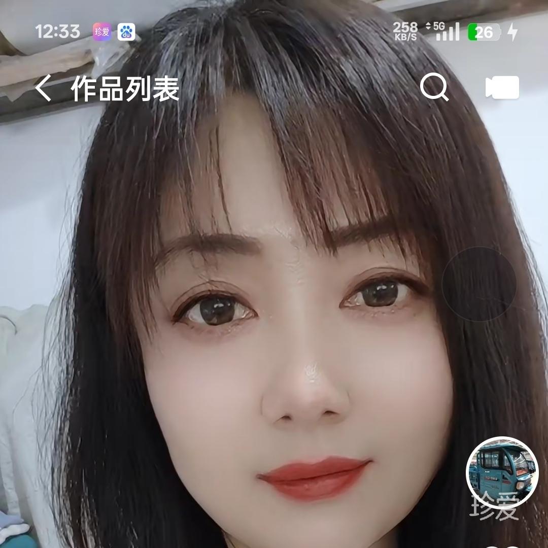 风雨中的小鸟