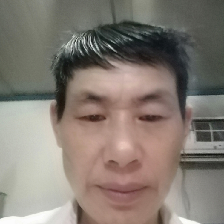 狐独的风