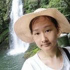 灰灰菜