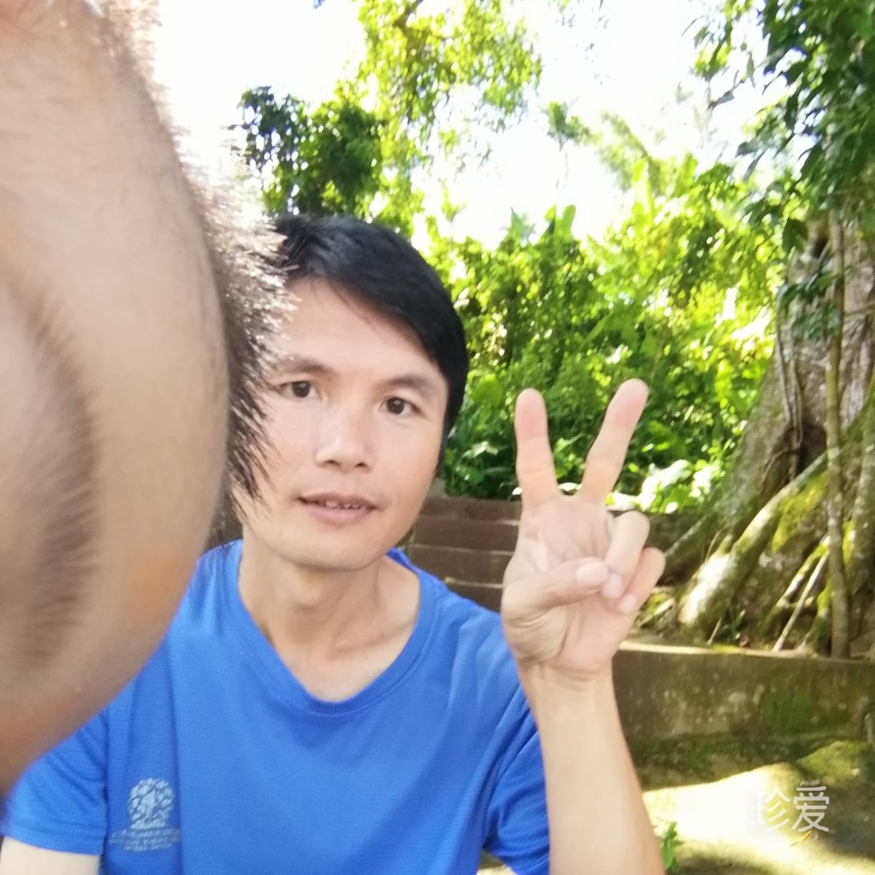 转青藤之恋