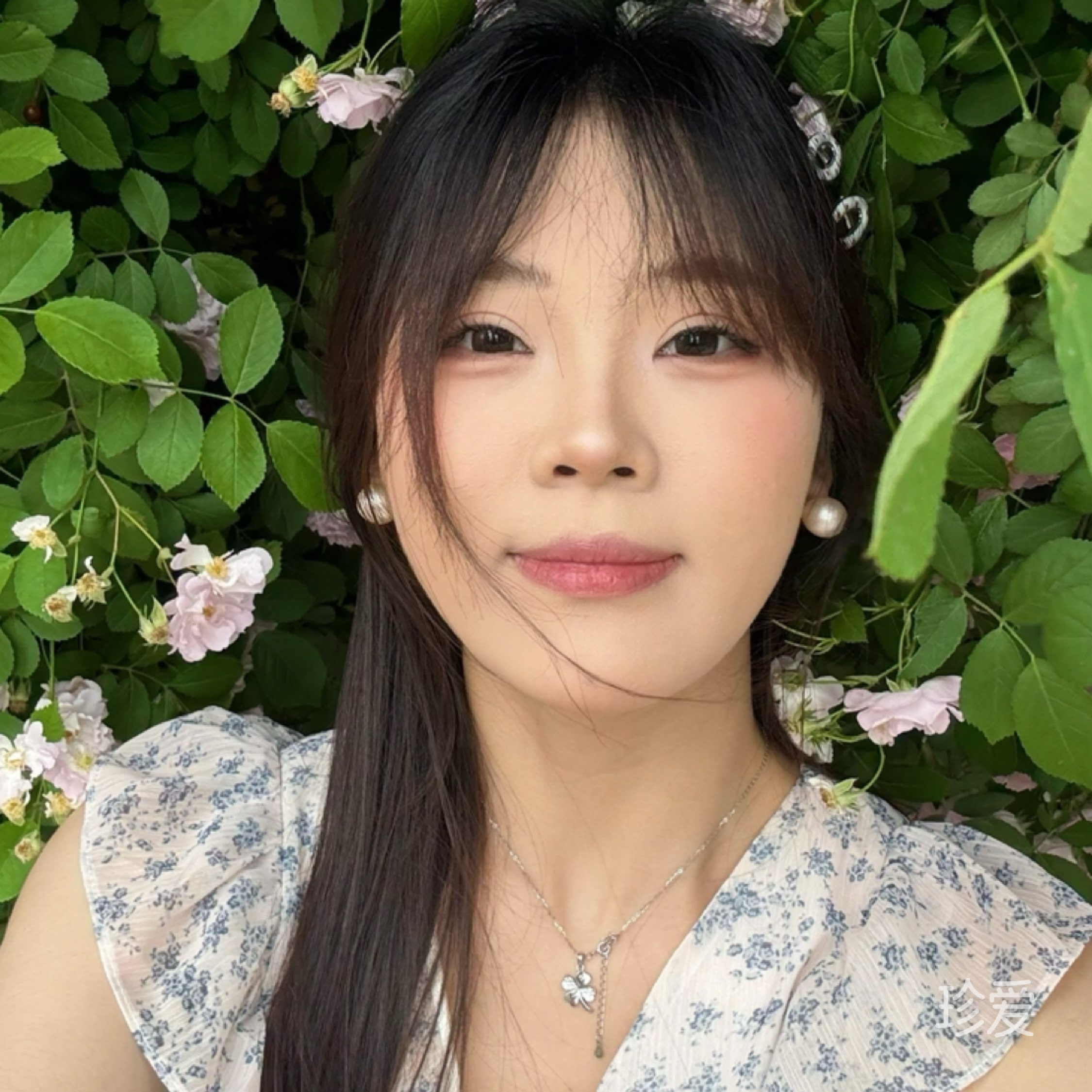 懿伊伊