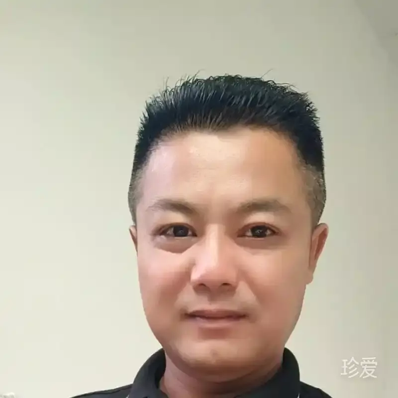 海鸥