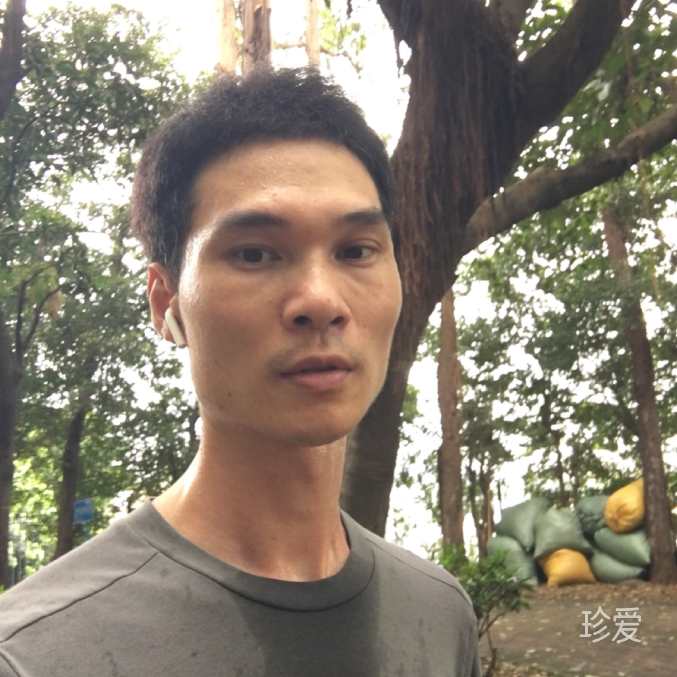 诚挚
