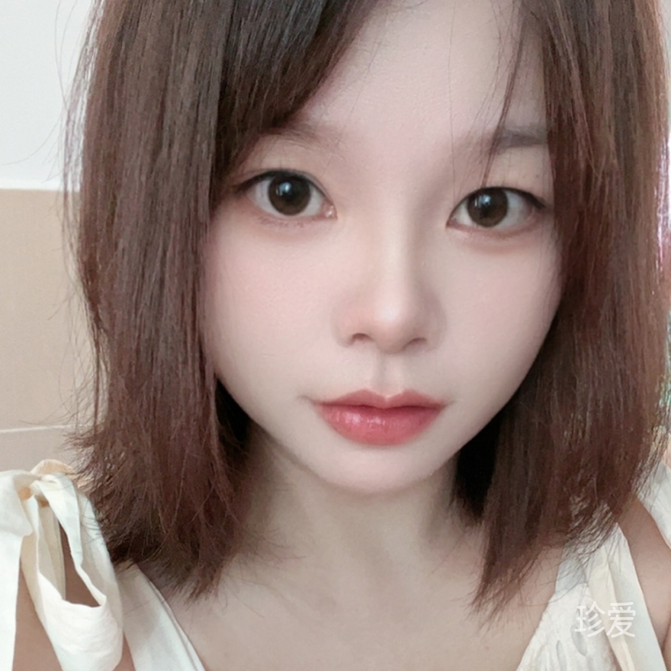 春天里的小雨滴