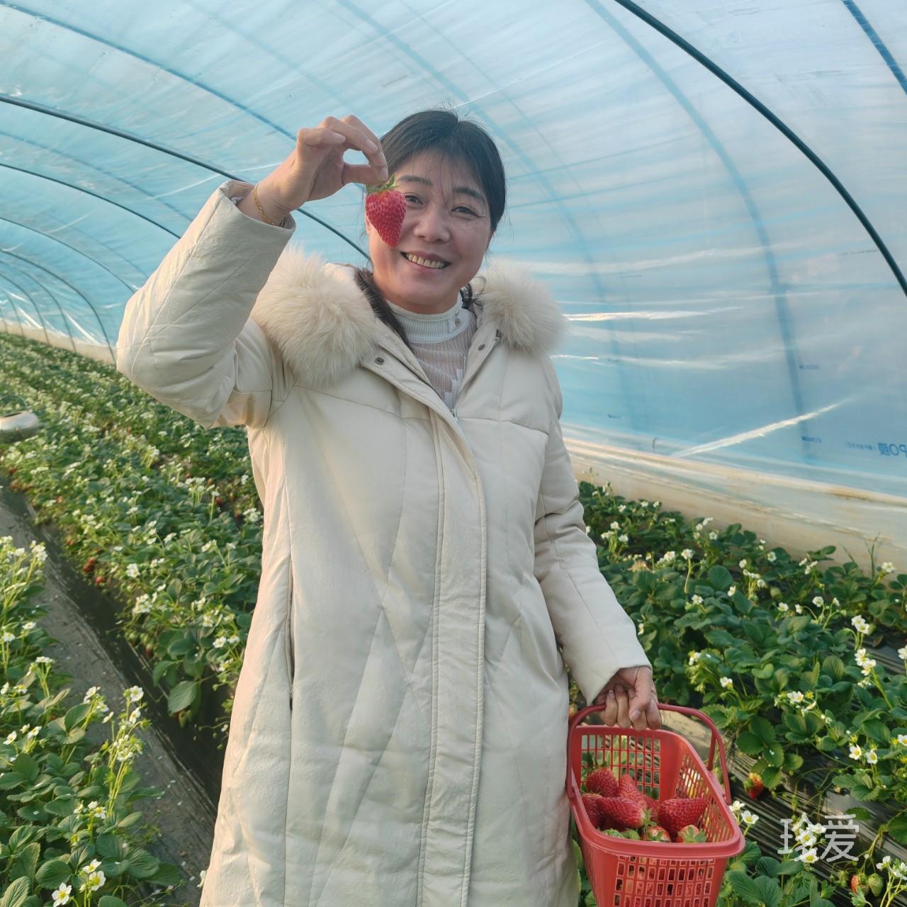 真心爱你到永远