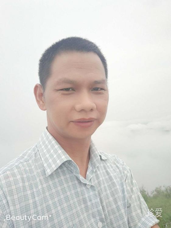 像風(fēng)一樣自由