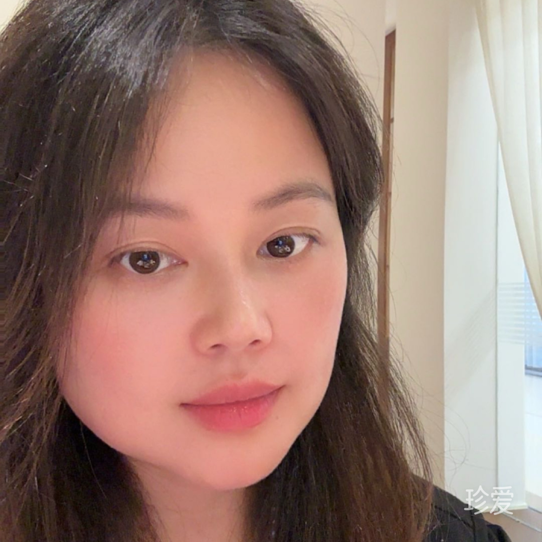 白茉莉
