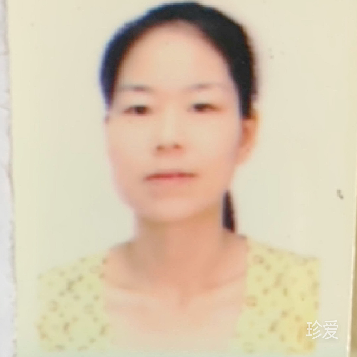 26年盼段良缘