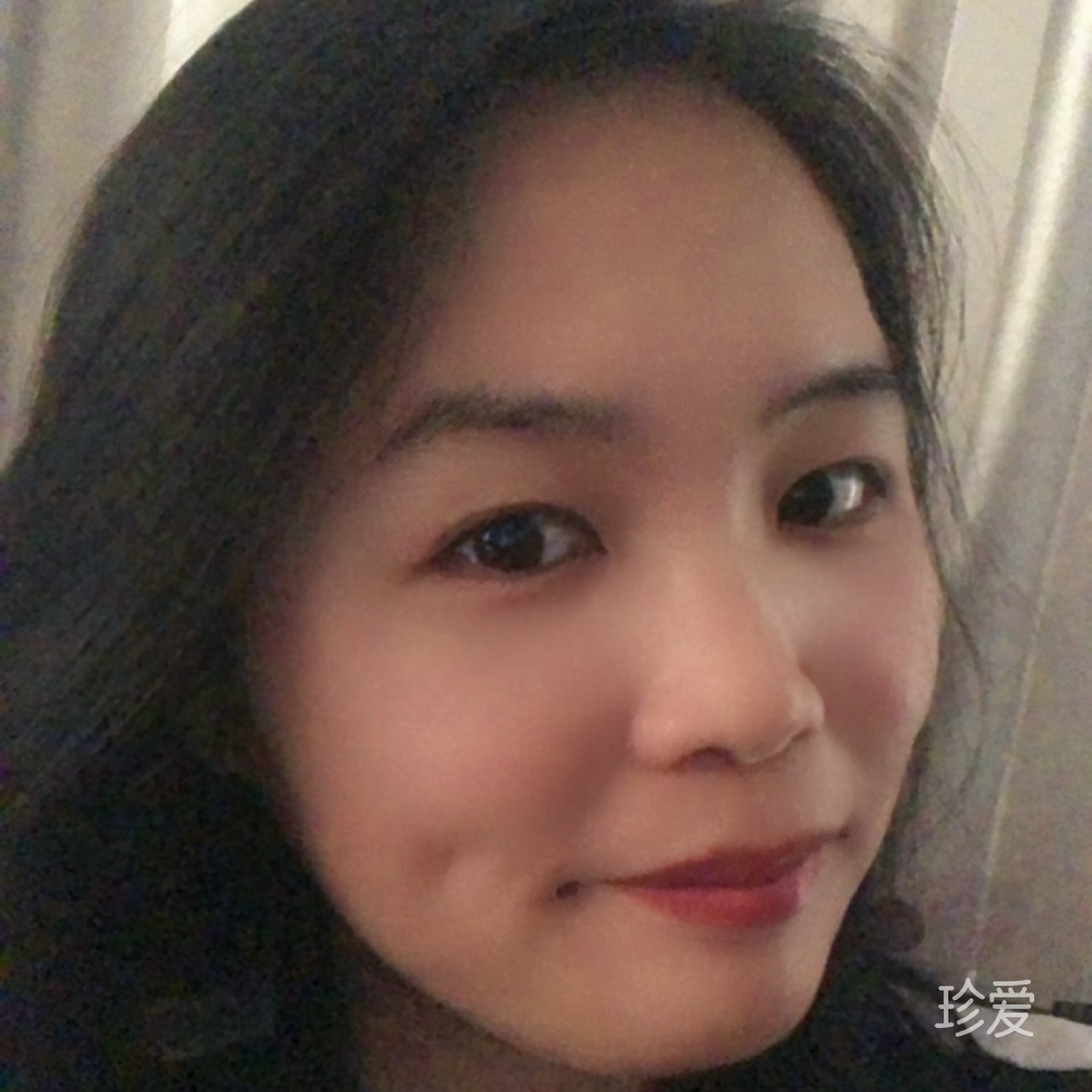 雾中菊