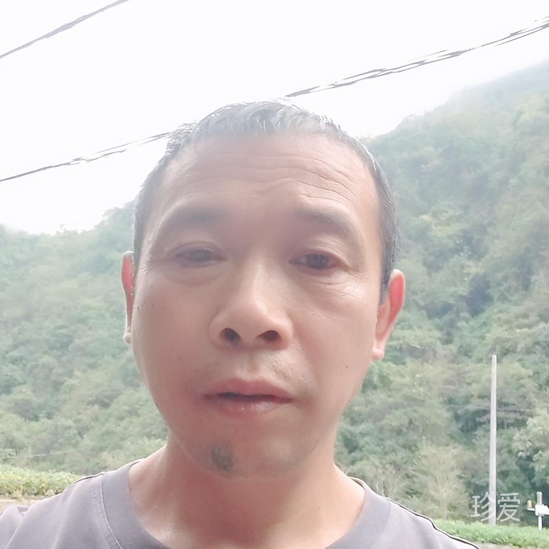 一曲情深