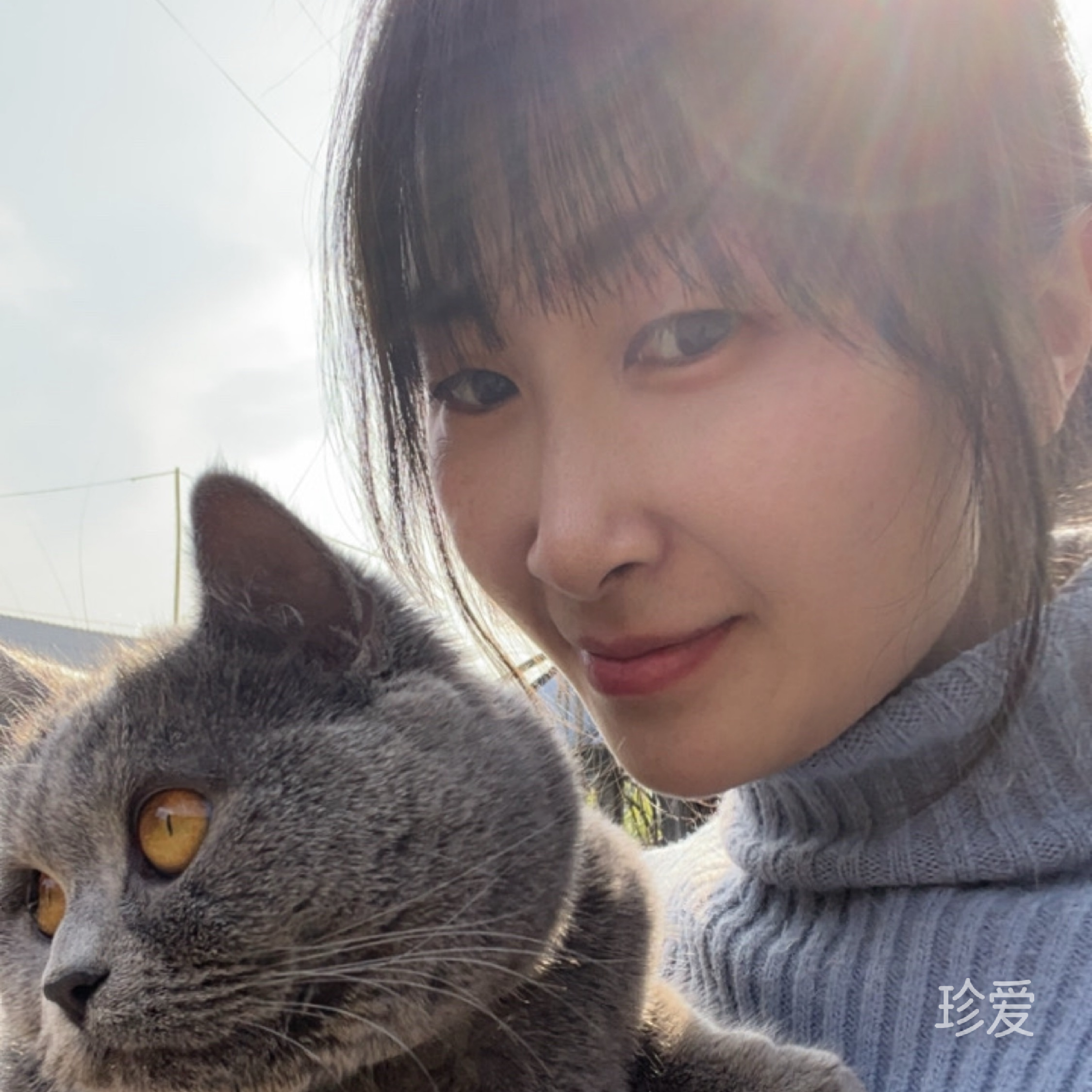 晴天