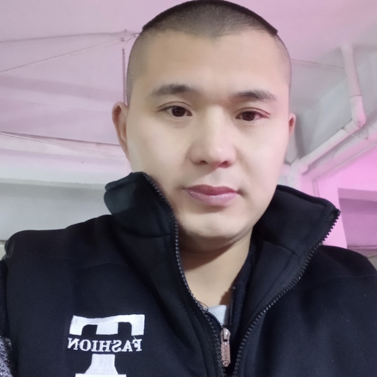 寻找真爱的神鹰