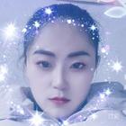 半城繁華半城傷