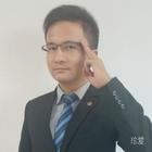全金屬英短