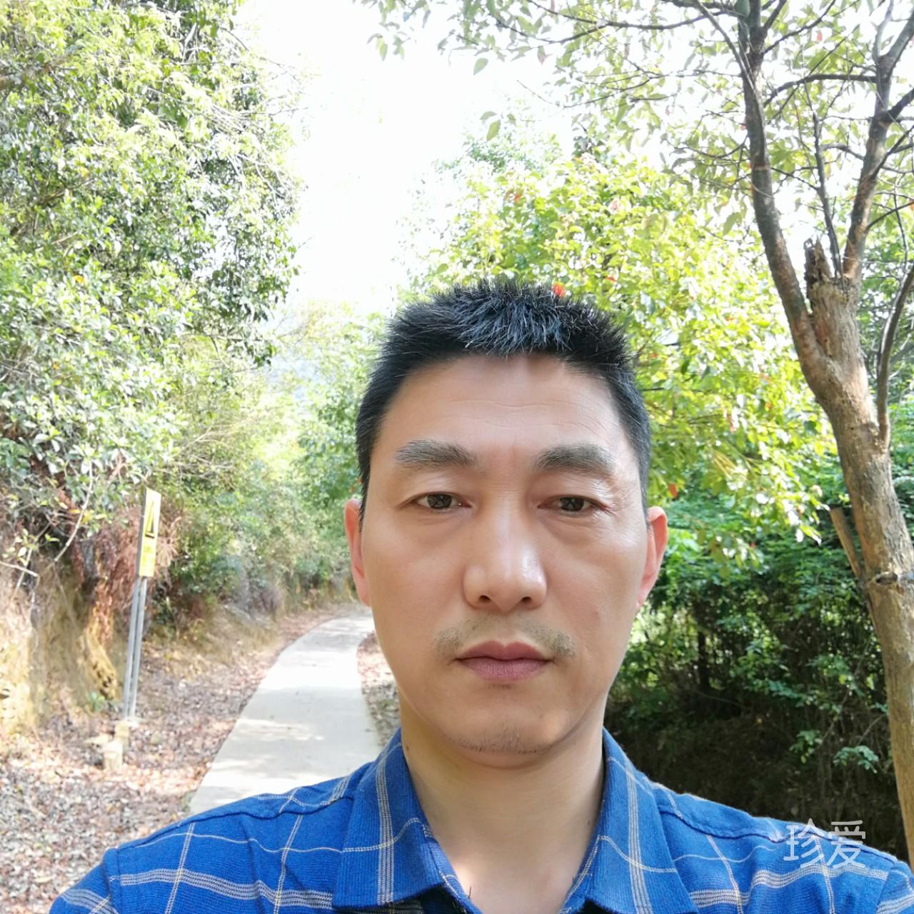 醉看紅尘這場夢