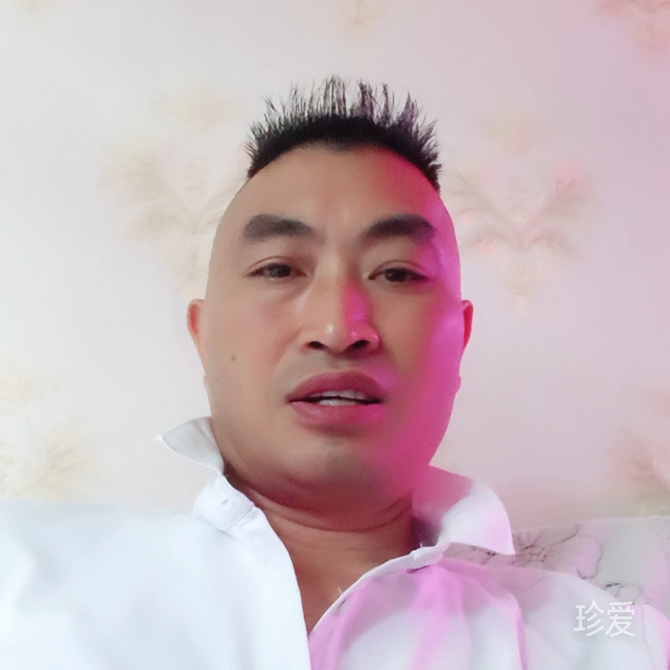 沙漠里的骆驼