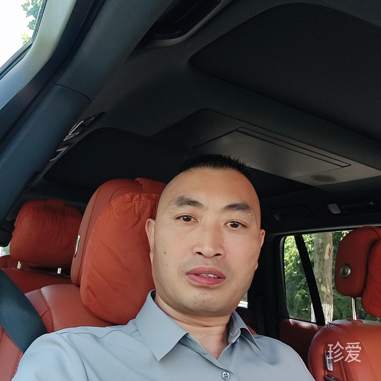 沙漠里的骆驼