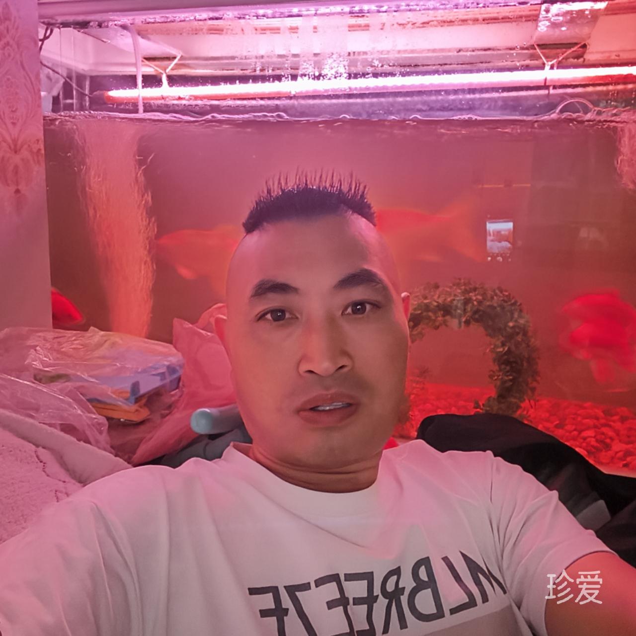 沙漠里的骆驼