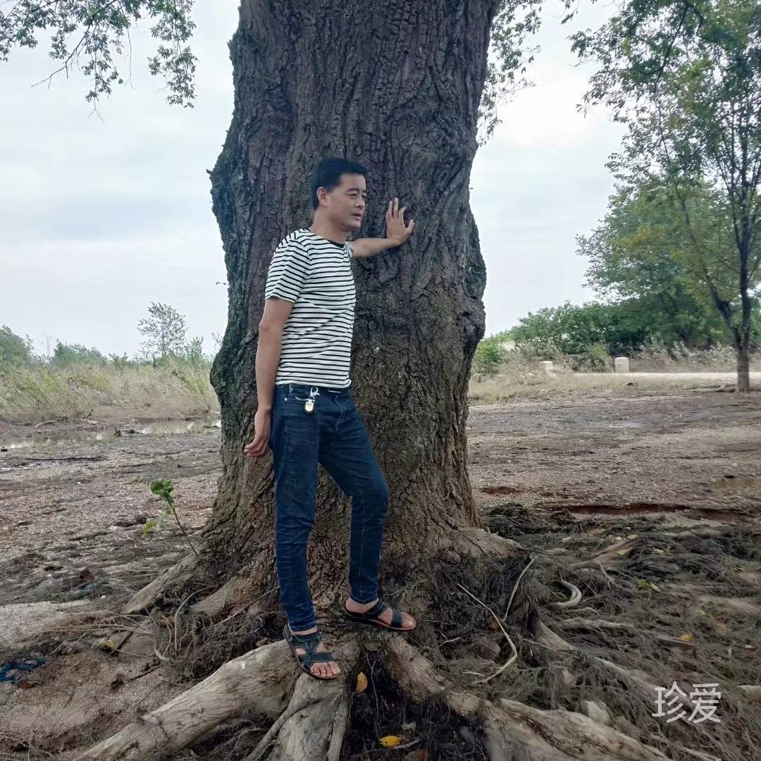 中国梦