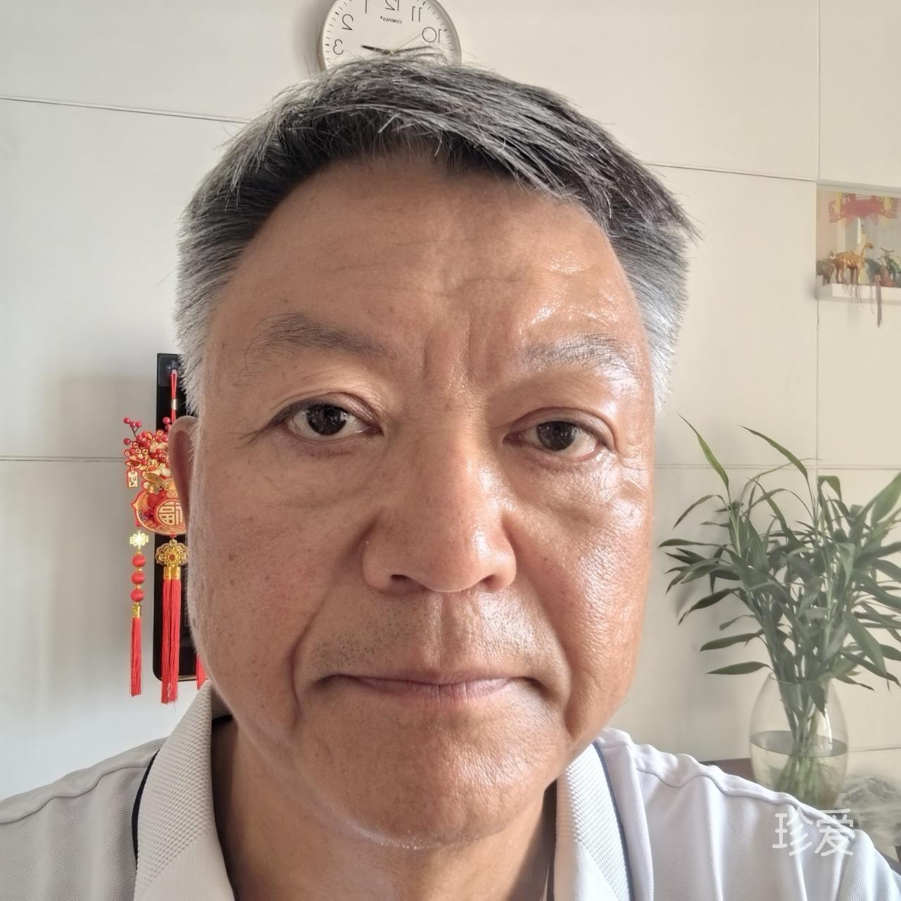 向阳而生