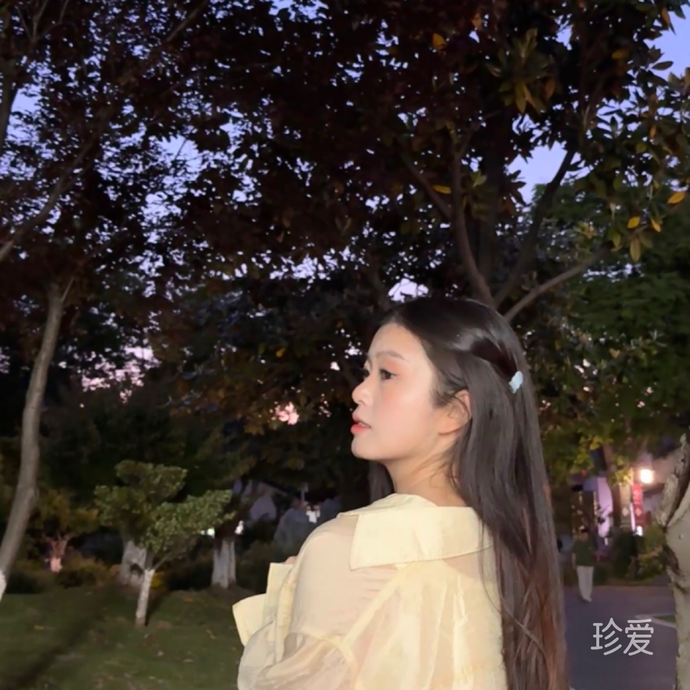 子蓝