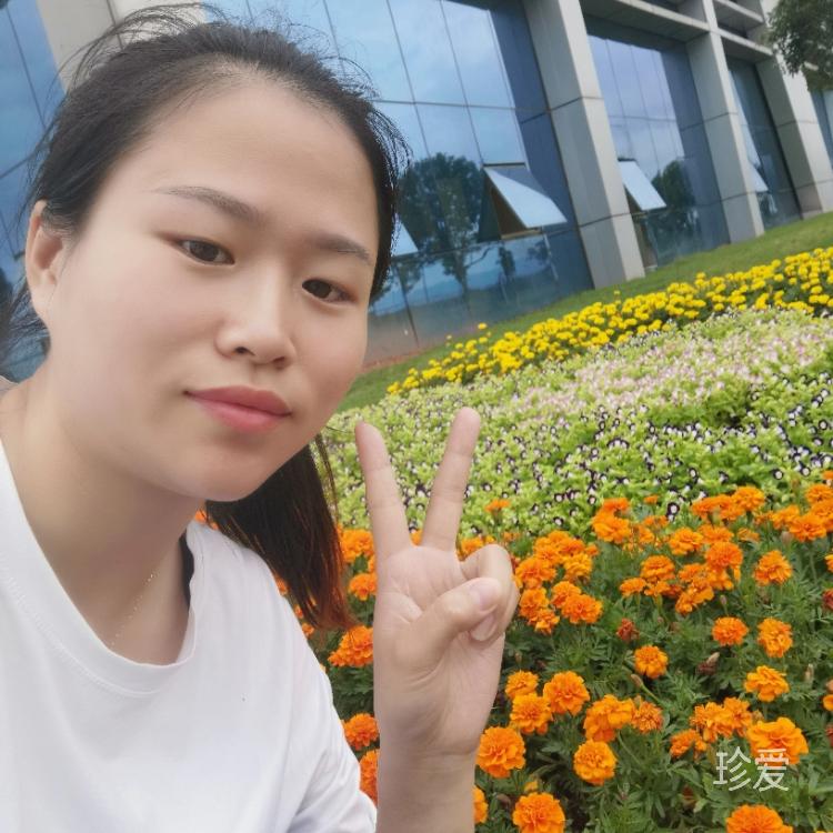 想有个避风的港湾