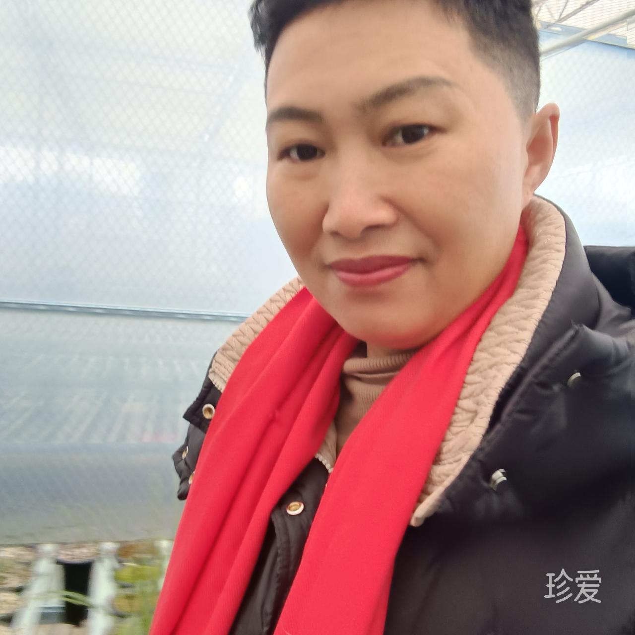 风儿你送什么来