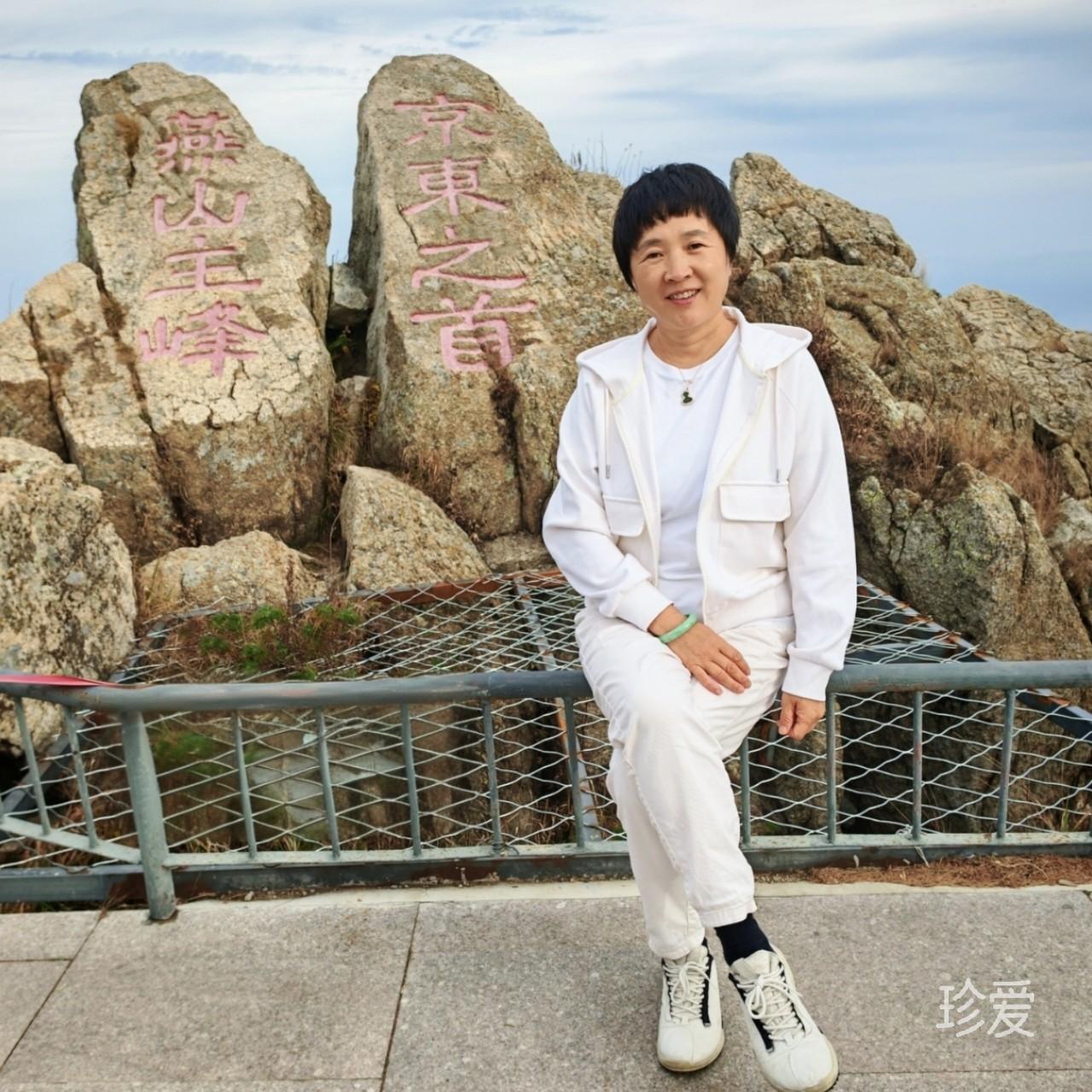 太阳花