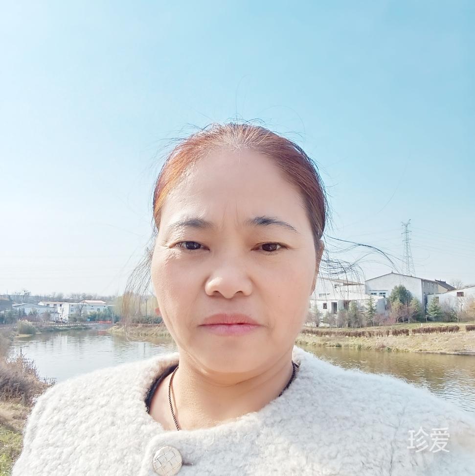 我想有个家