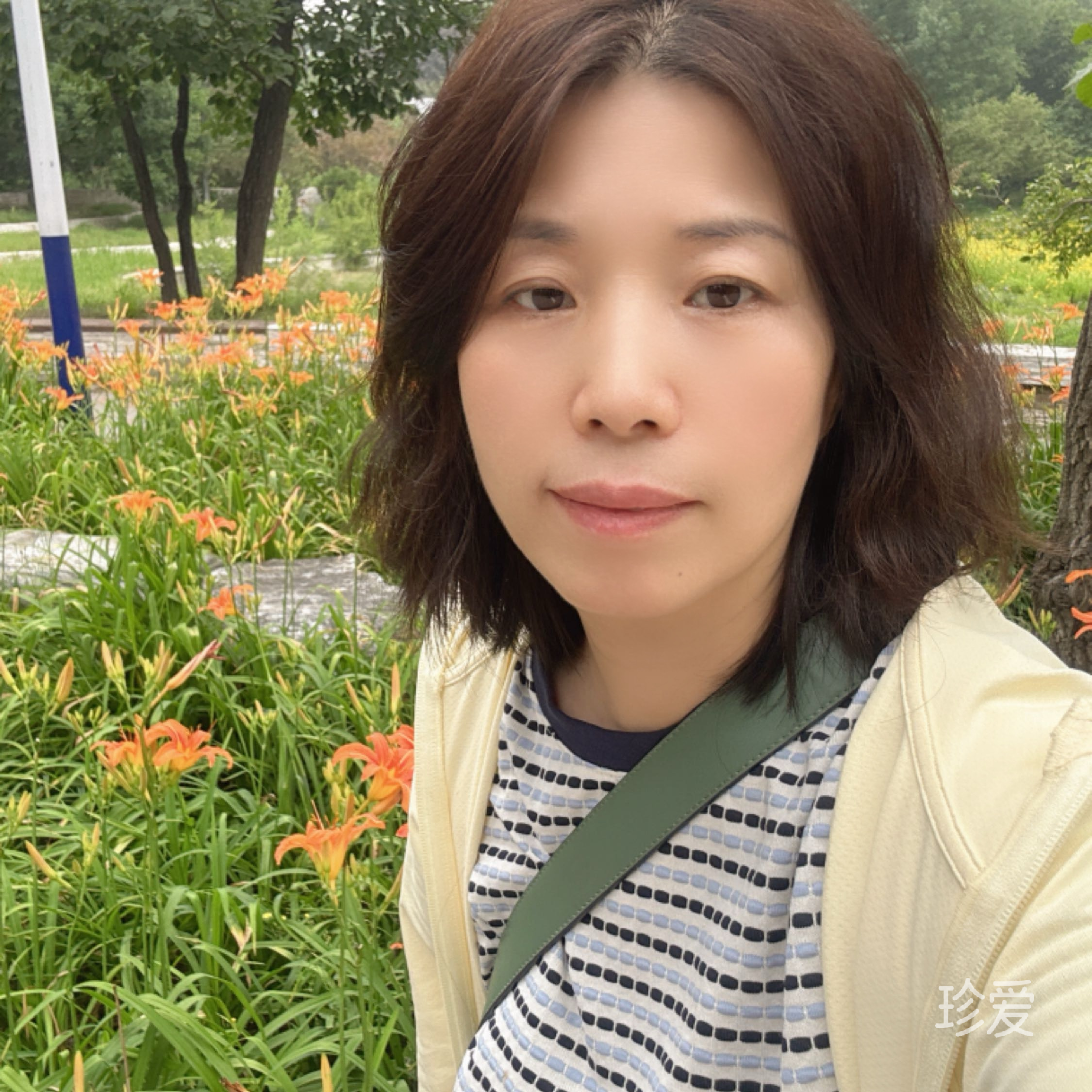 拂夕