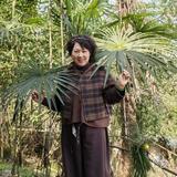洁含