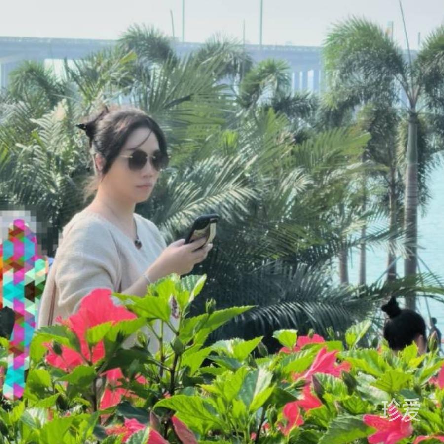 树叶子