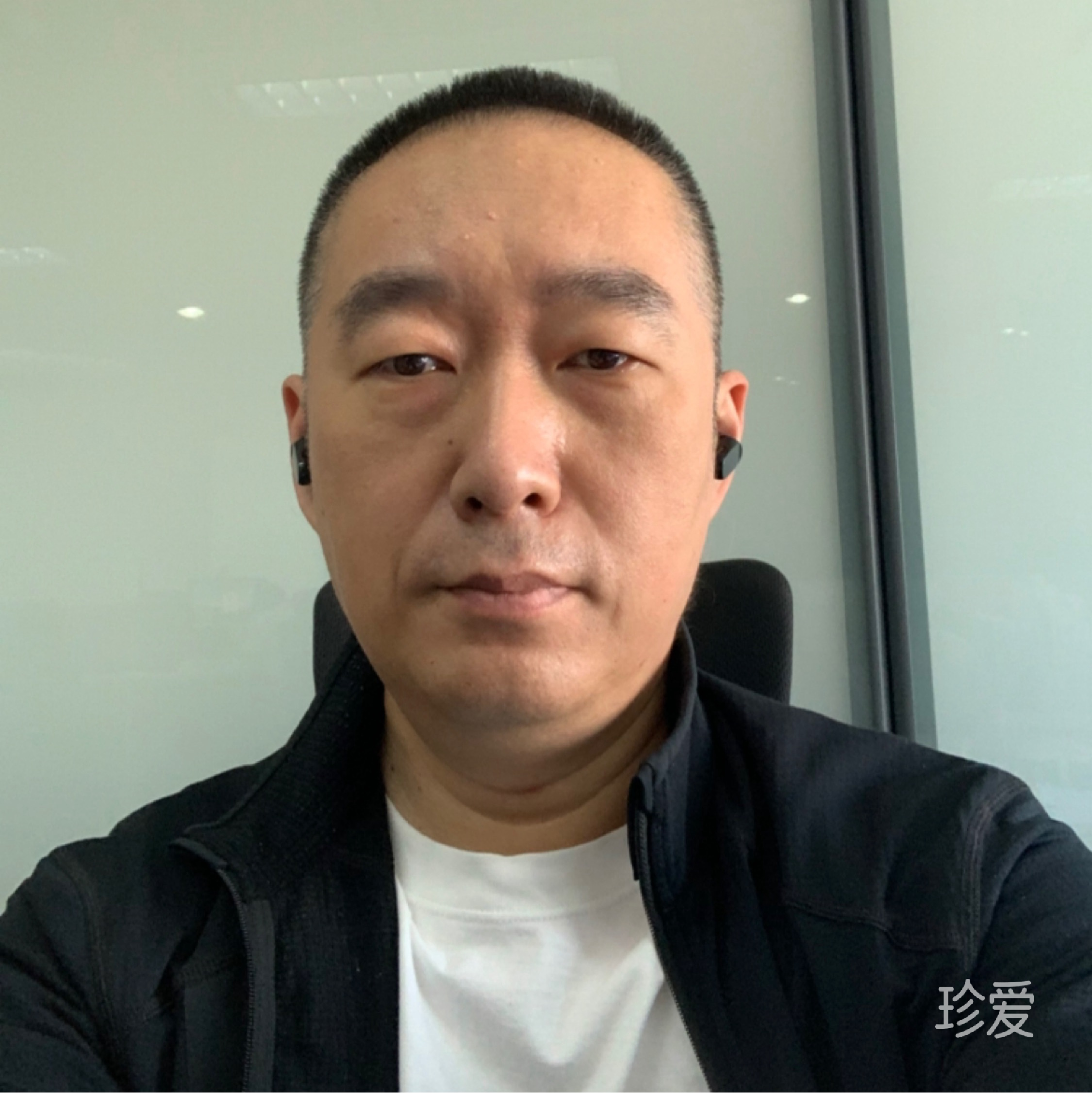 大懒萌的喵大王