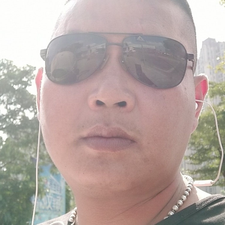 轮回归来