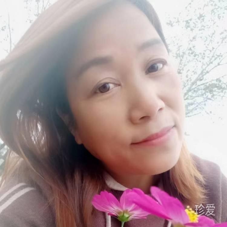 清池莲