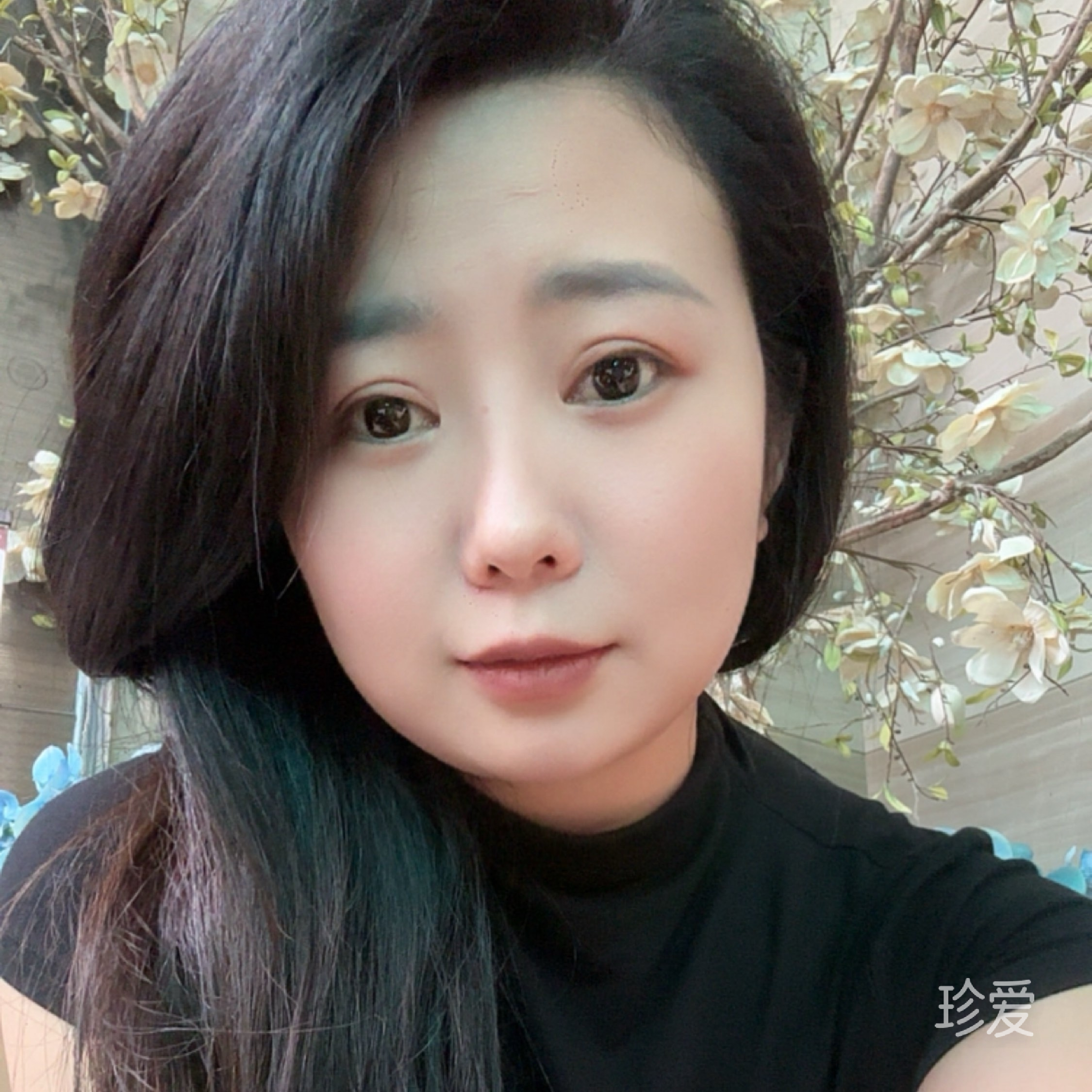 夜里孤独的玫瑰