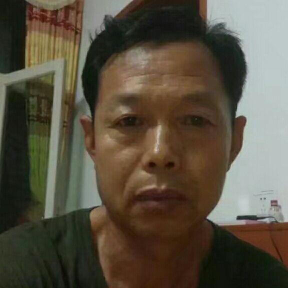 这个冬天没有雪