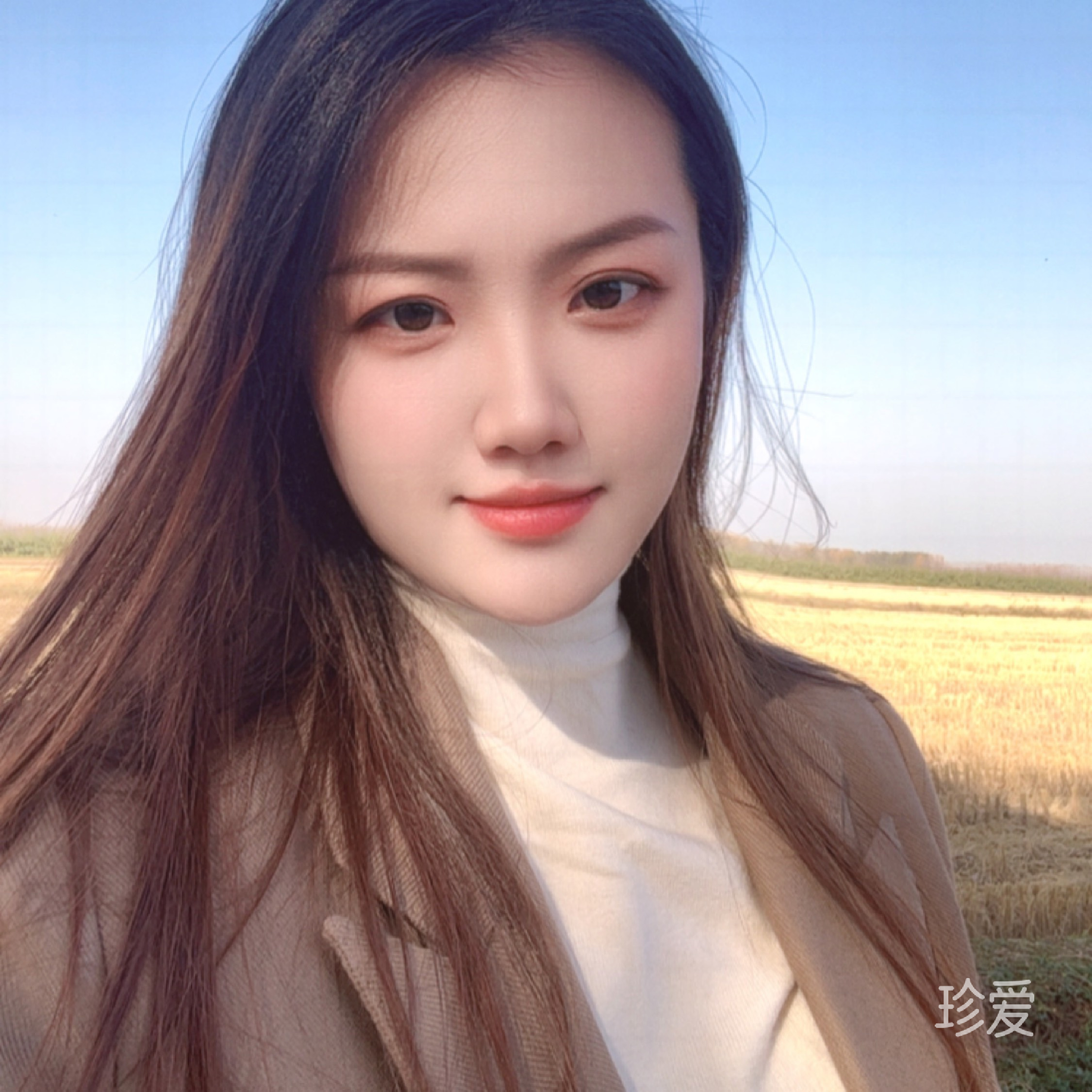 白茶清欢无别事