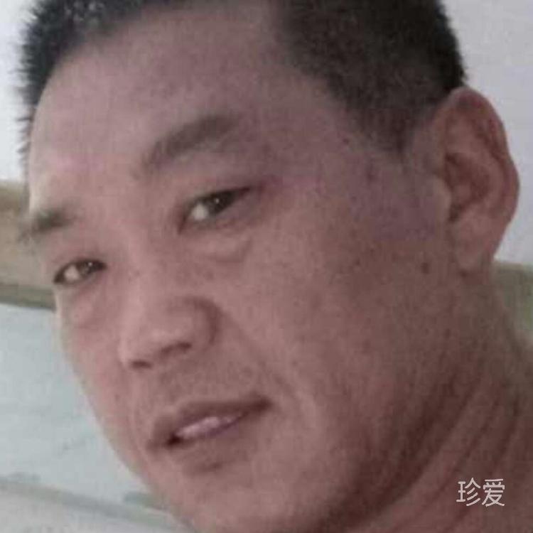 伟祺