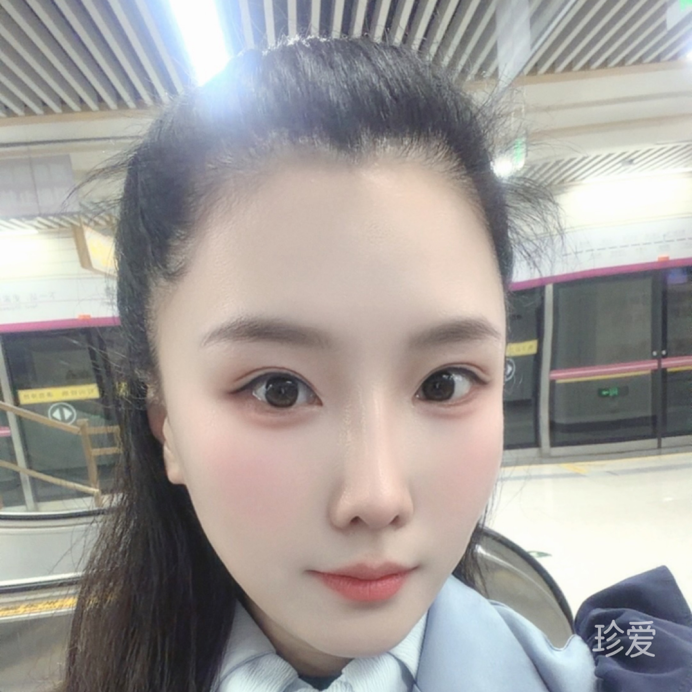 燕子