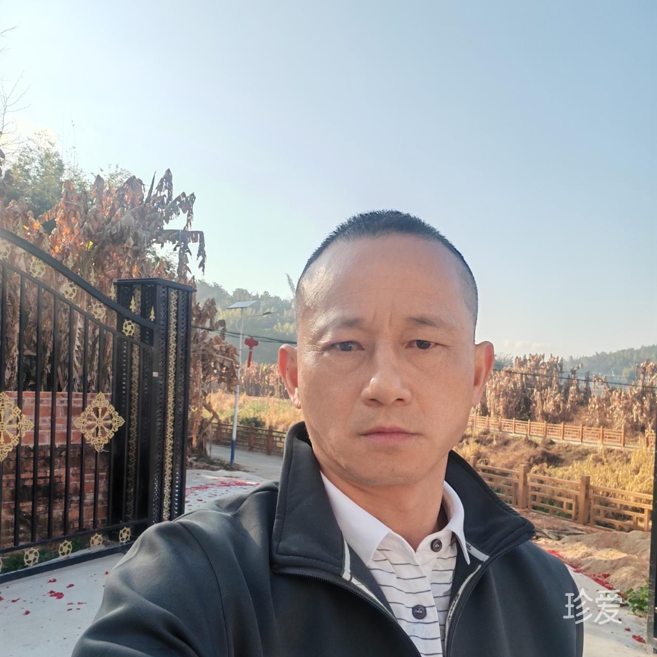 文章