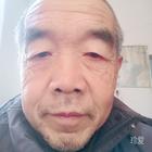真情等待
