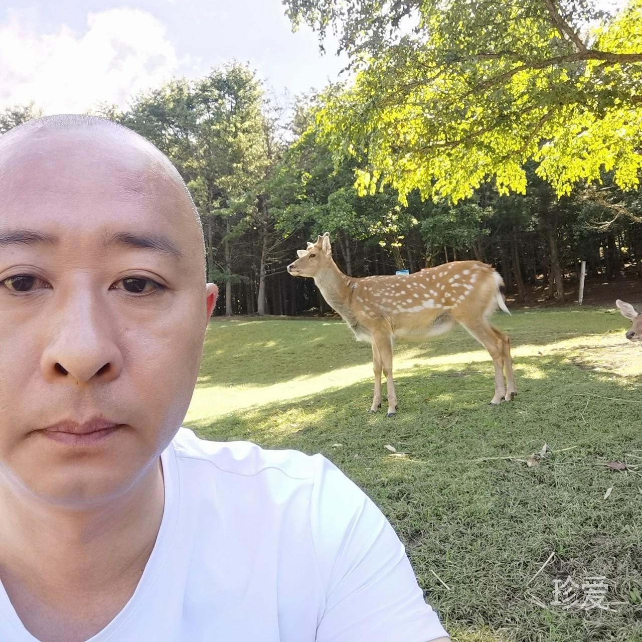 冬天的蚂蚱