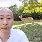 冬天的蚂蚱