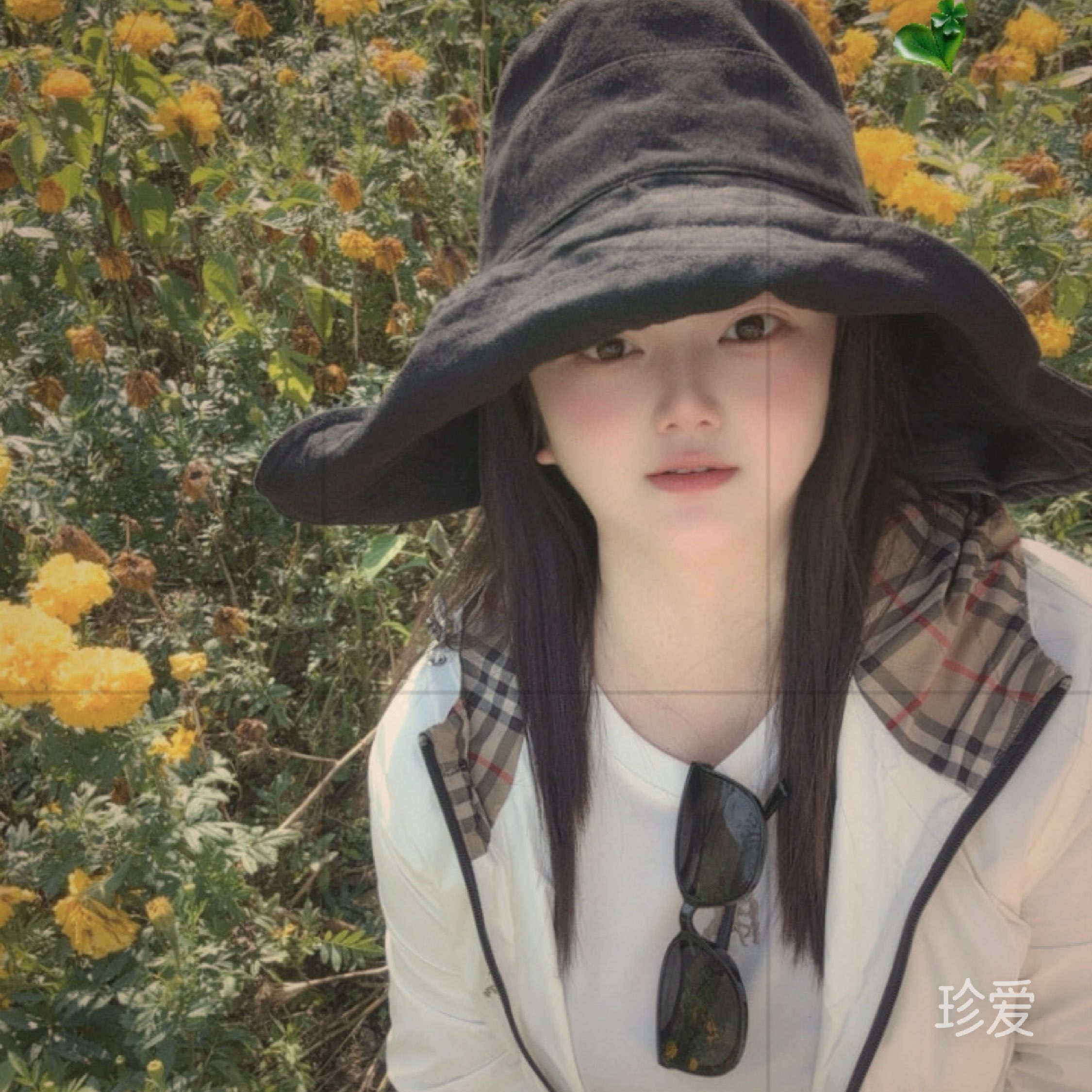 烫月